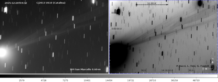 Cometa C/2013US10