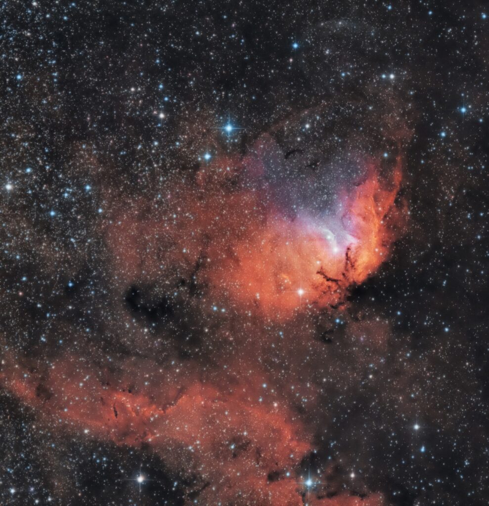 Nebulosa Tulipano SH 2-101