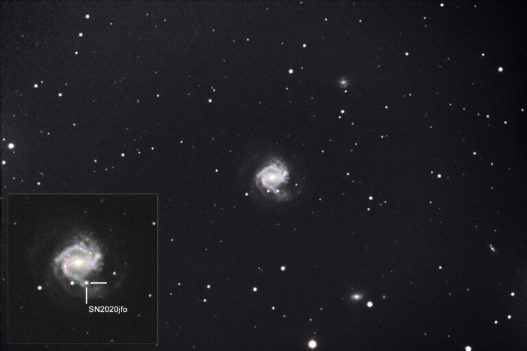 Supernova 2020jfo in M61