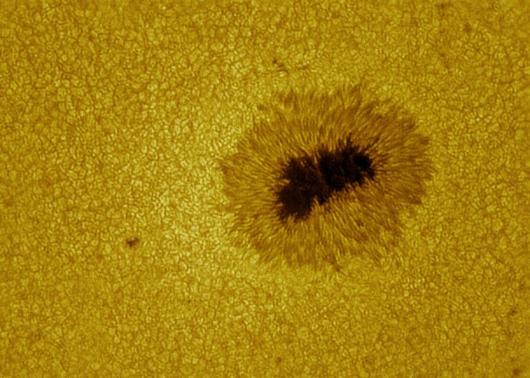 Sole AR12553