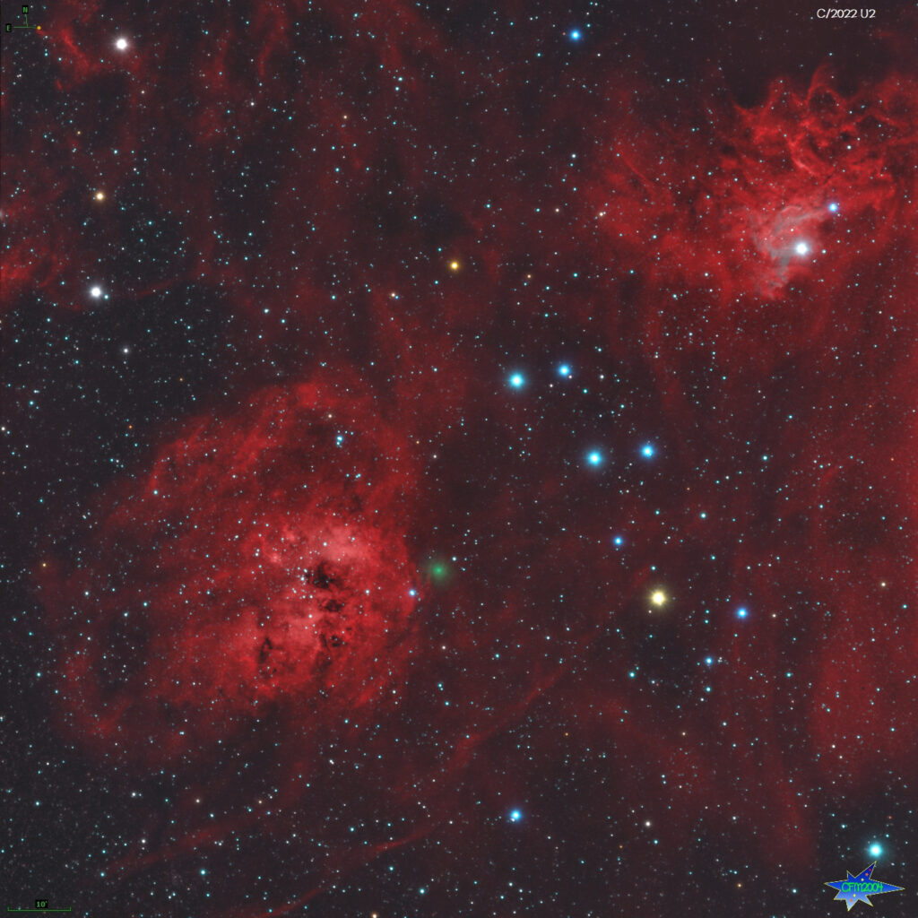 Cometa C/2022 U2 in Auriga