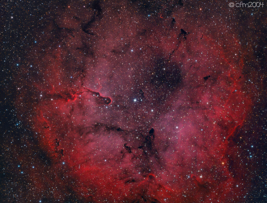 IC1396 in Cepheo