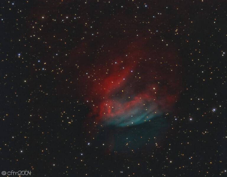 SH2-174 Valentine’s Rose