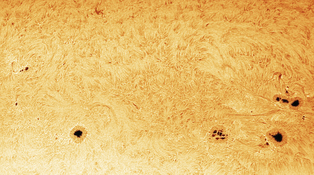 Sole in H-Alpha – Regioni attive 2996, 2995, 2994, 2993