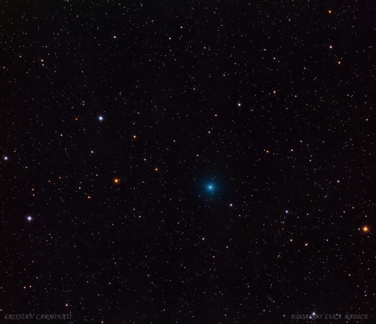 C/2019 Y4 (ATLAS)