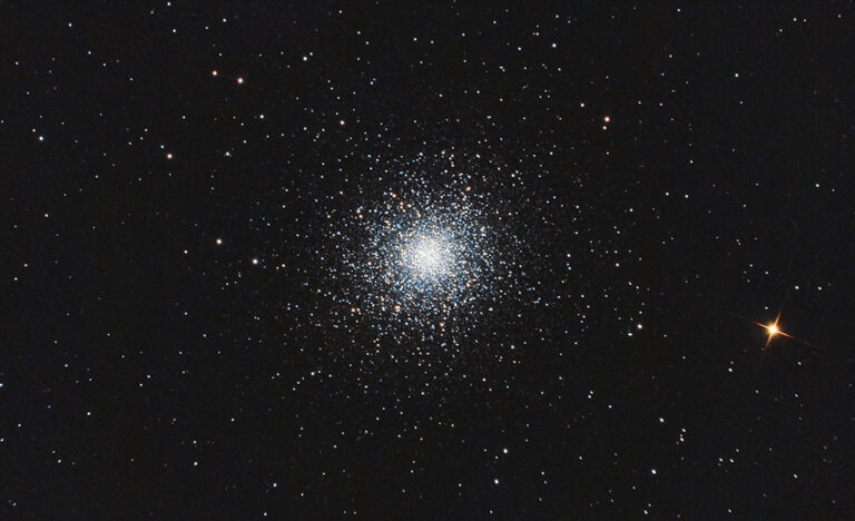 M 13 copia