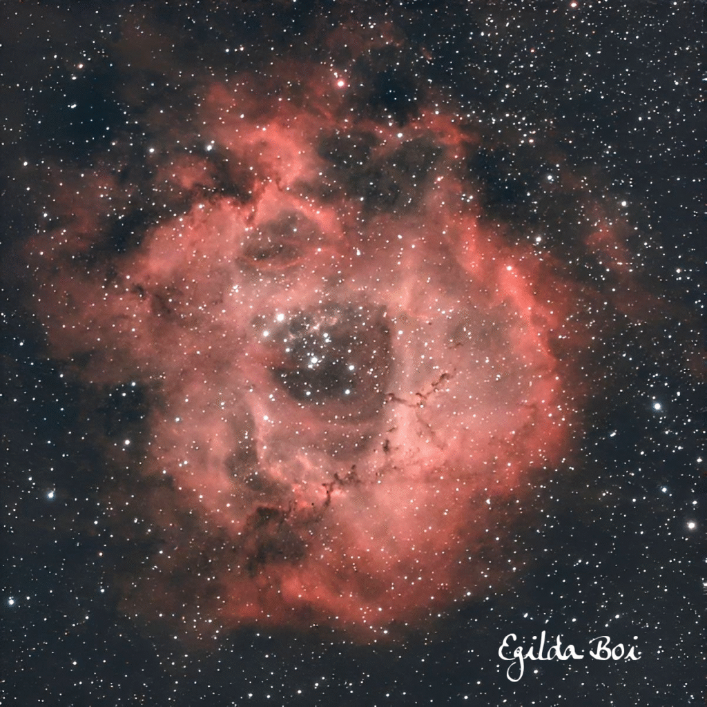 Nebulosa Rosetta NGC 2237