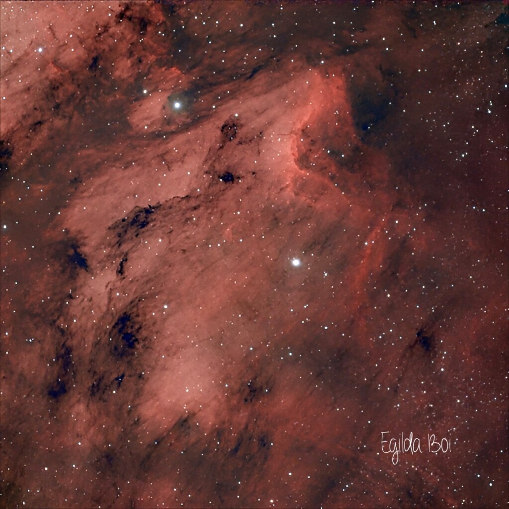 Nebulosa Pellicano