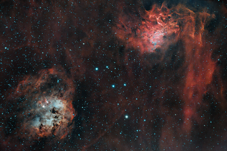Nebulose Stella Fiammeggiante e Girini