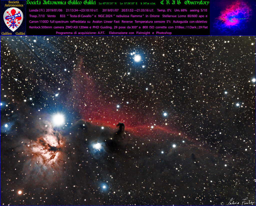 B33 Testa di cavallo