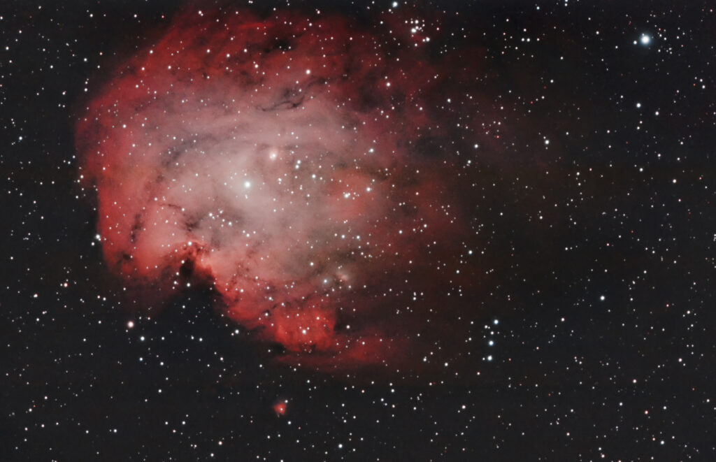 Nebulosa Testa di Scimmia