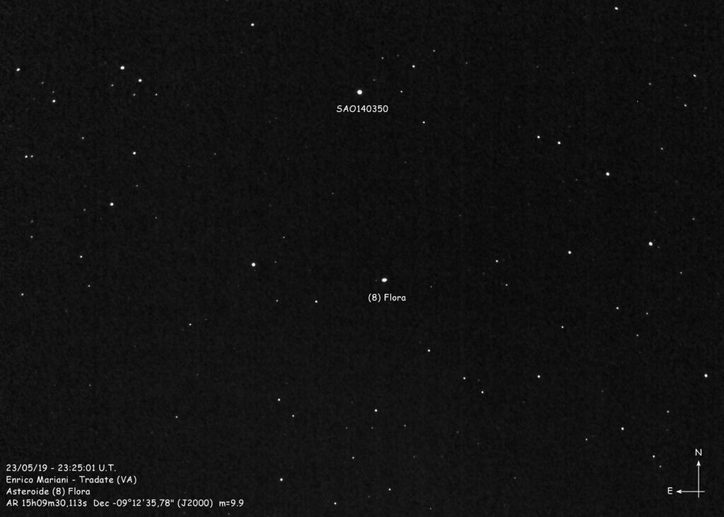 Asteroide (8) FlorA
