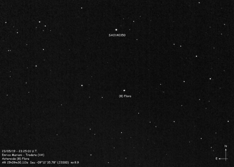 Asteroide (8) FlorA