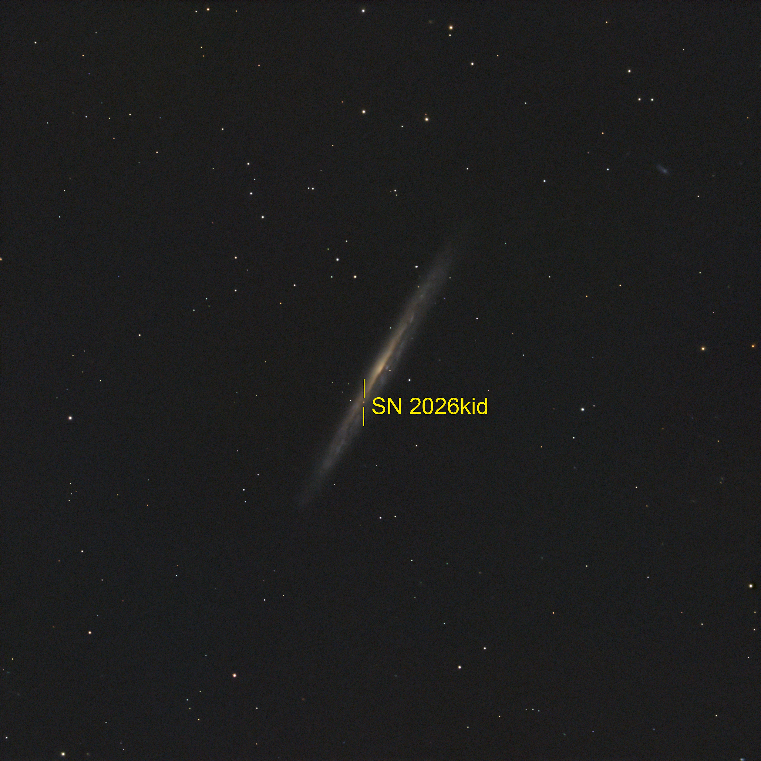 SN2026kid nella galassia NGC5907