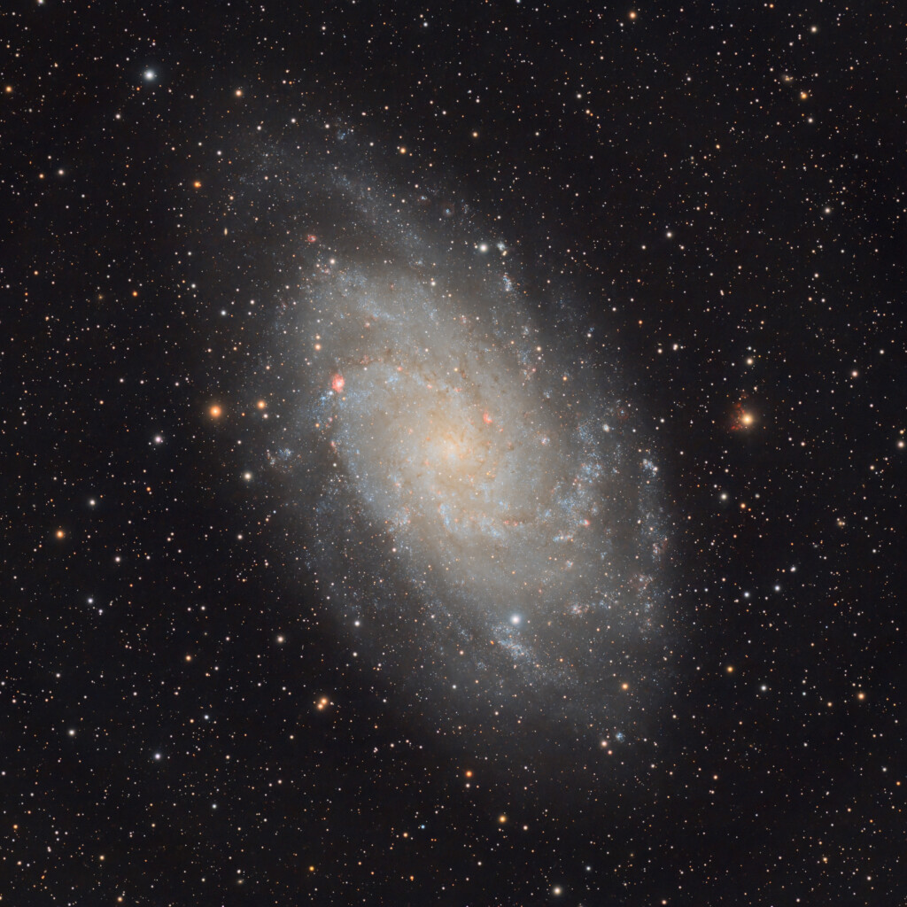 M33