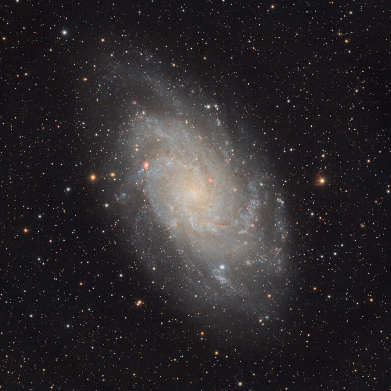 M33