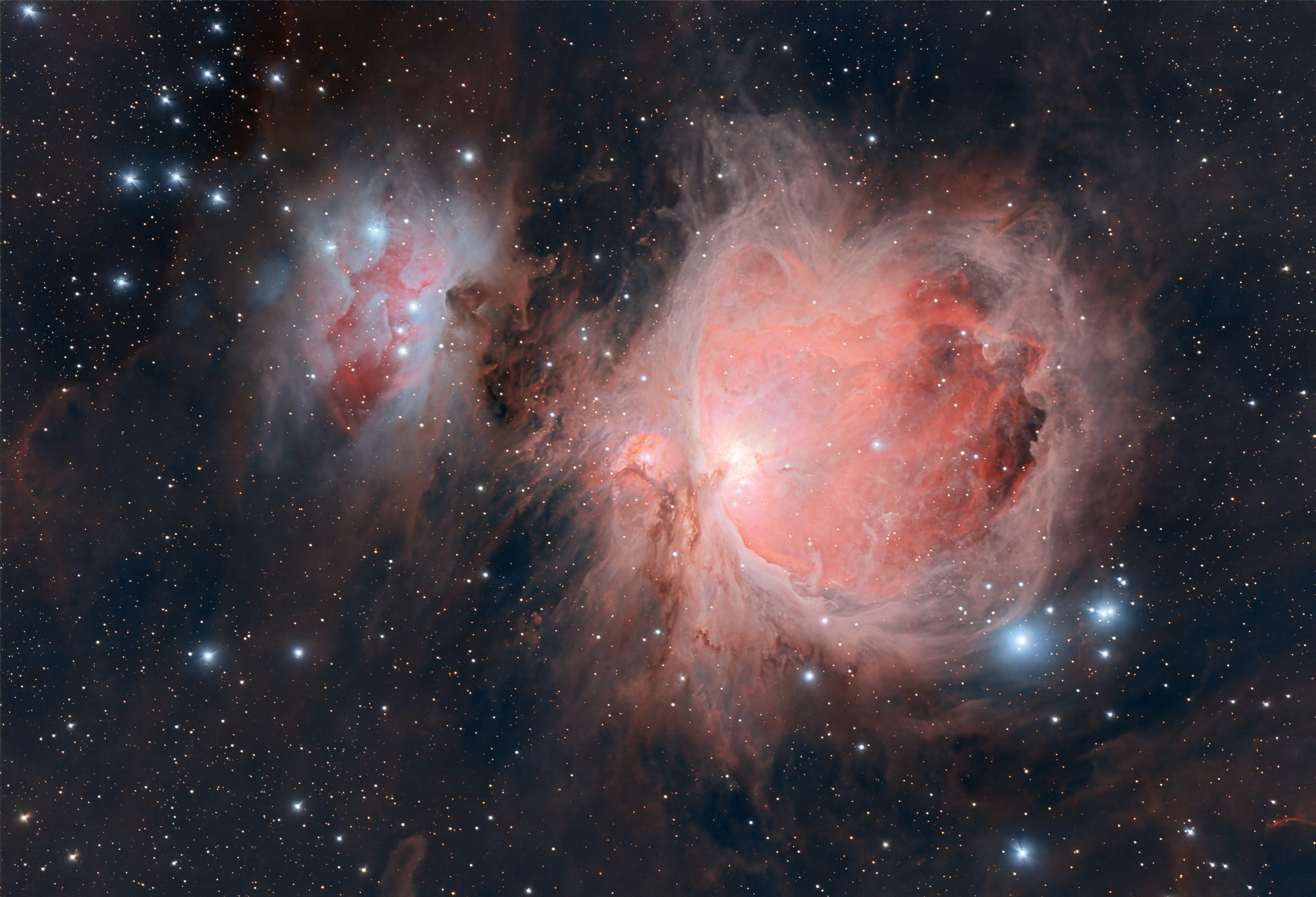 M42 La Grande Nebulosa di Orione nella Costellazione di Orionedi Fabio Damonte