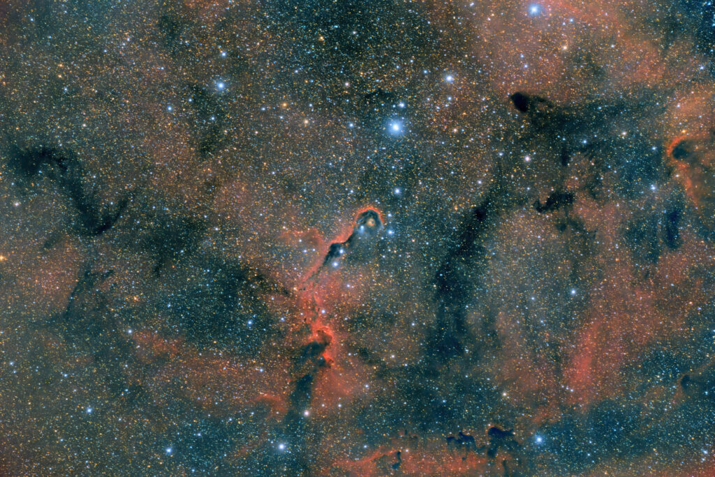 Elephant Trunk IC1396