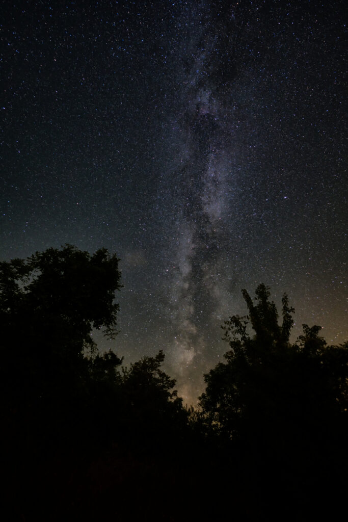Via Lattea tra gli alberi
