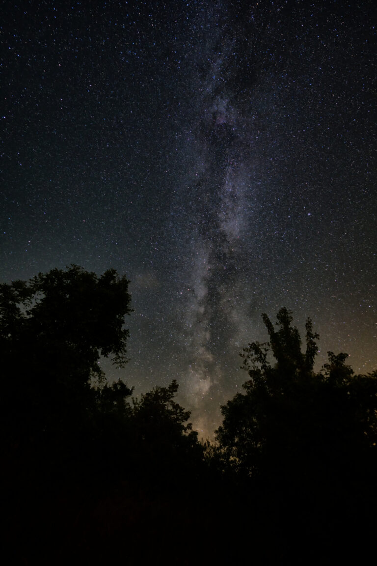 Via Lattea tra gli alberi