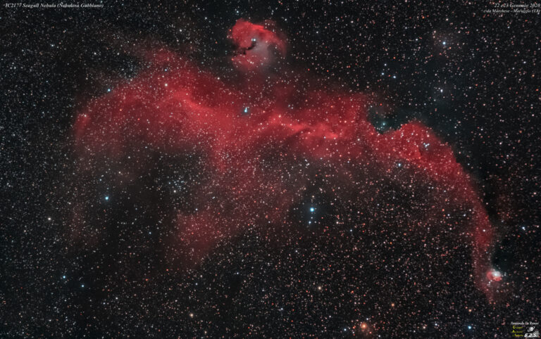 IC2177 Seagull Nebula (Nebulosa Gabbiano)
