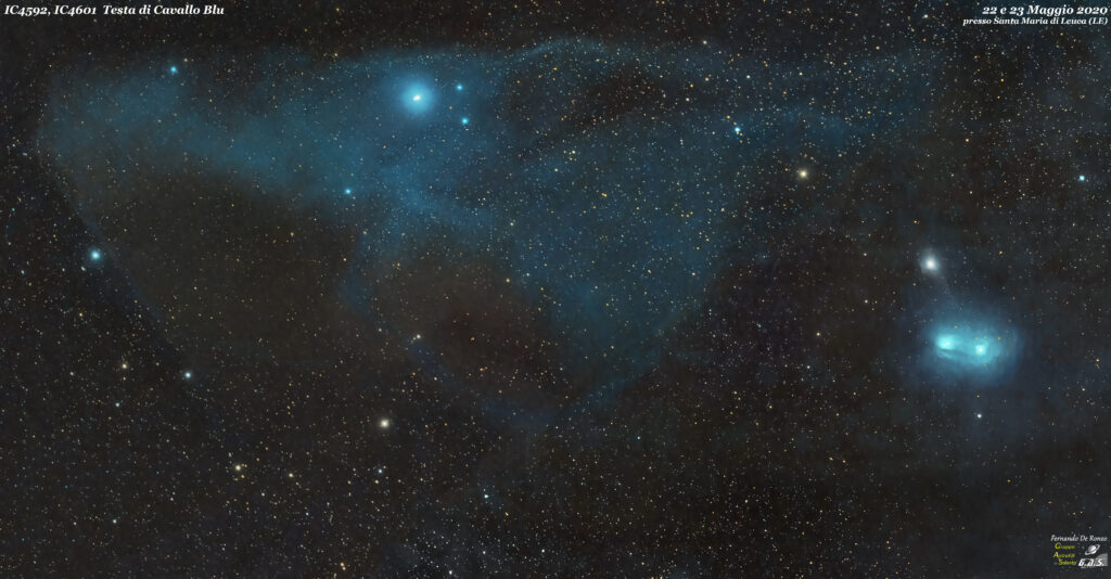 IC4592 (VDB100) Blue Horsehead (Testa di Cavallo blu) e IC4601 (VDB102) nello Scorpione