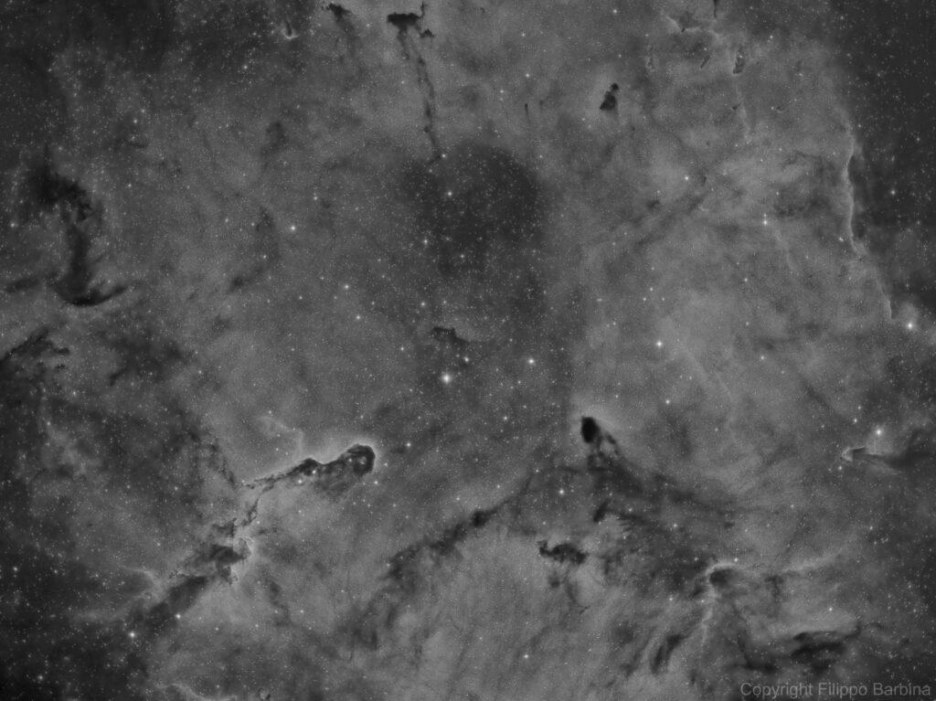 IC1396 e nebulosa "Proboscide di Elefante"