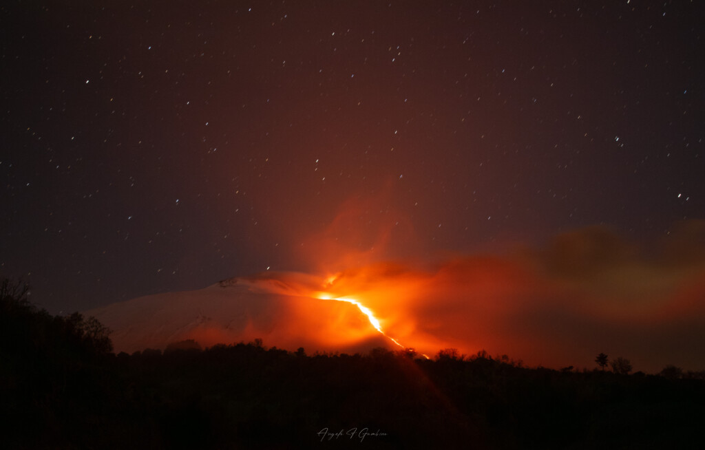 Il risceglio della Fenice