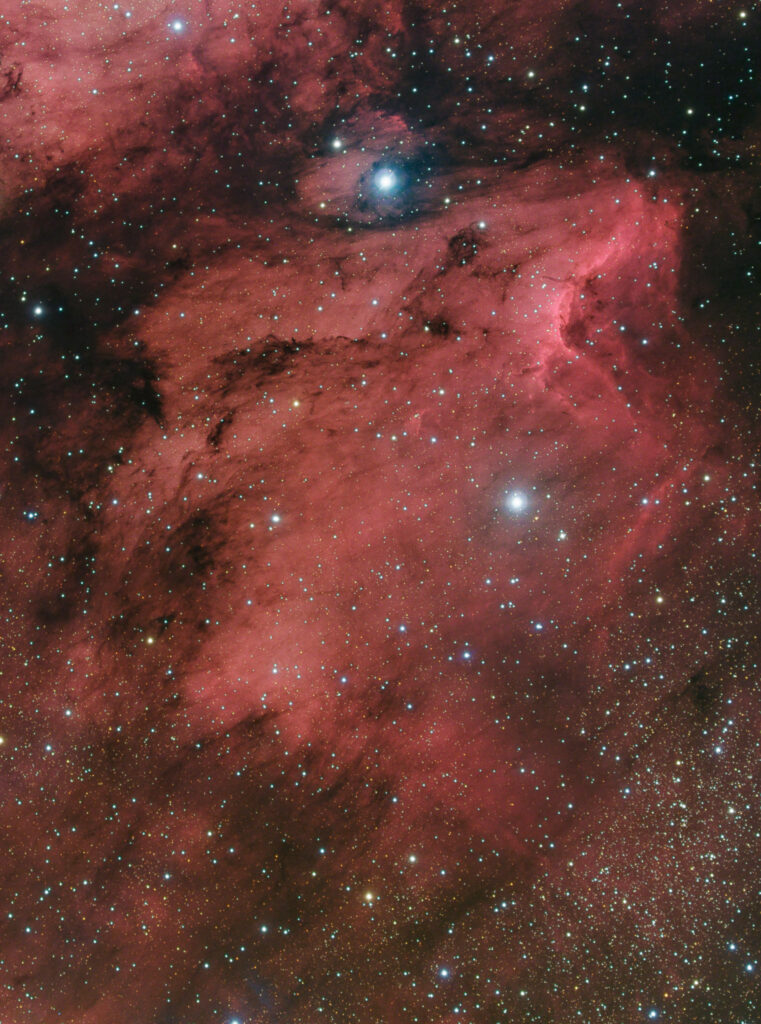 La Nebulosa Pellicano
