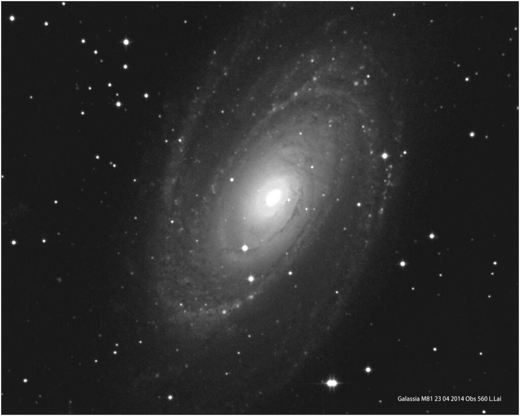 Galassia M81