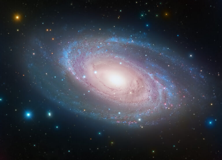 m81 – Nuova Elaborazione