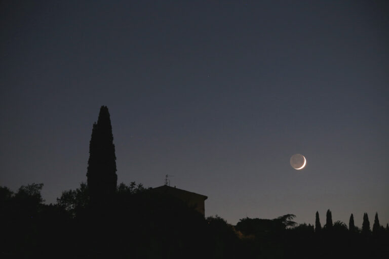 Luna cinerea