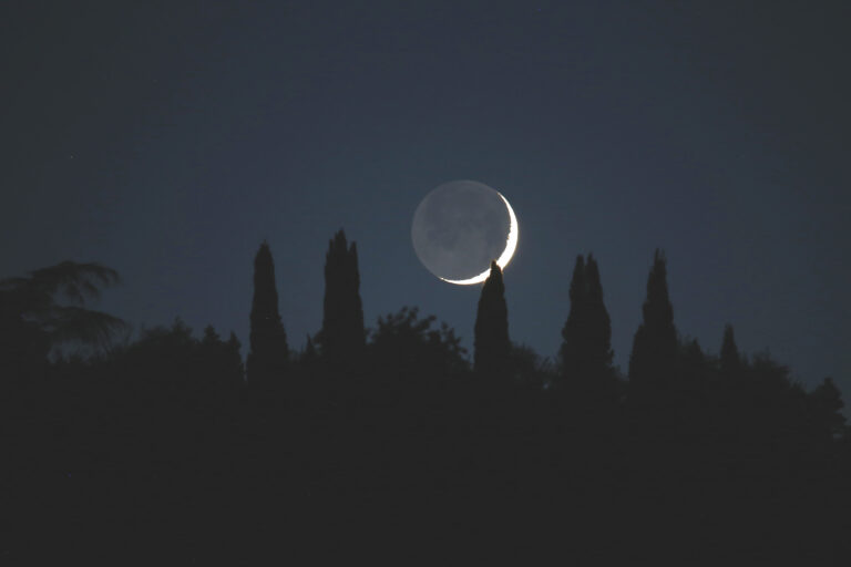 Luna cinerea