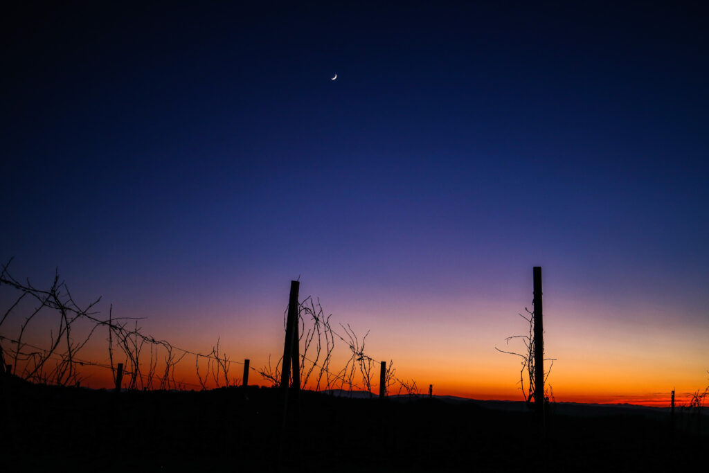 Falce di Luna con tramonto