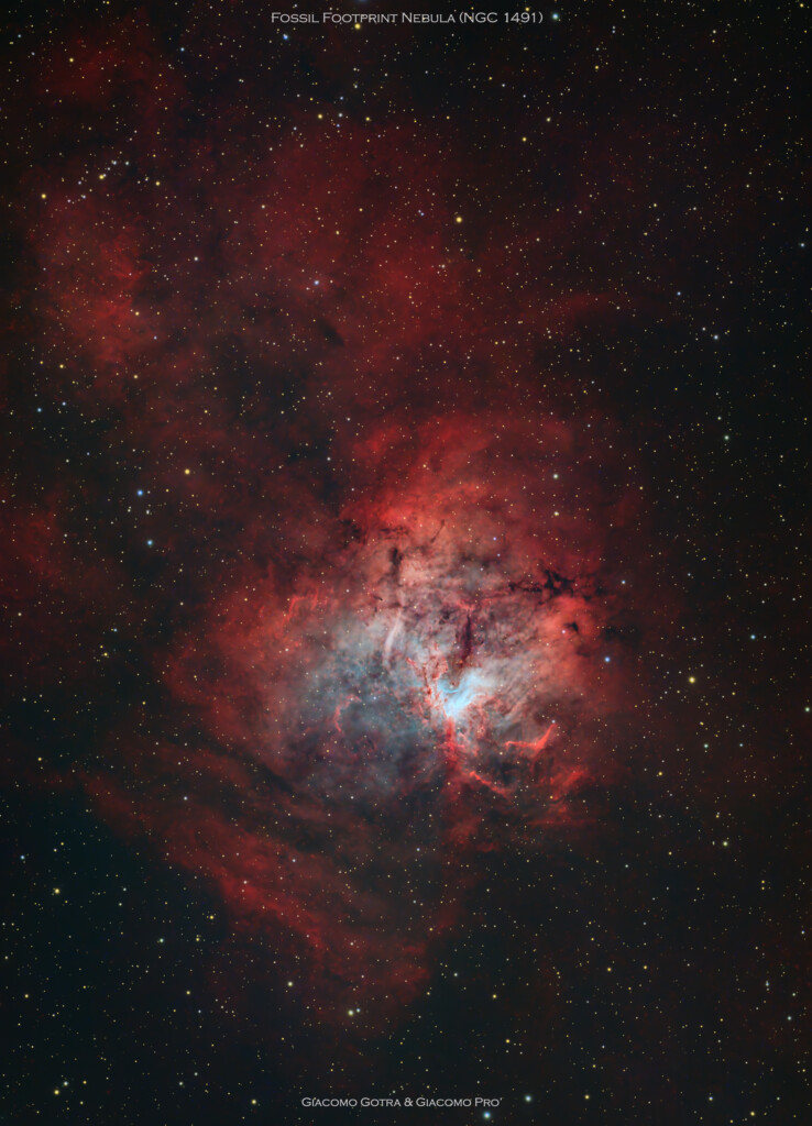 NGC 1491 "Impronta fossile"
