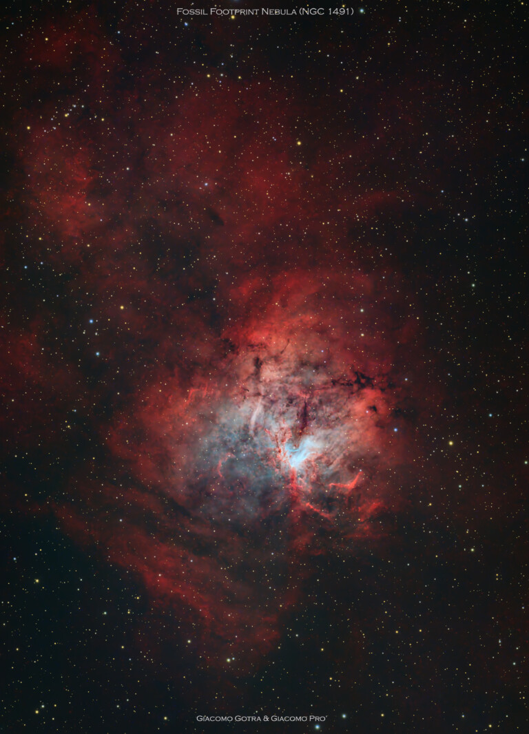 NGC 1491 "Impronta fossile"