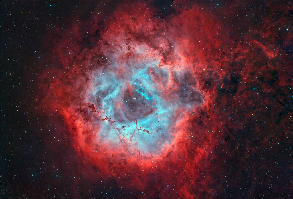 NEBULOSA ROSETTA NGC 2237