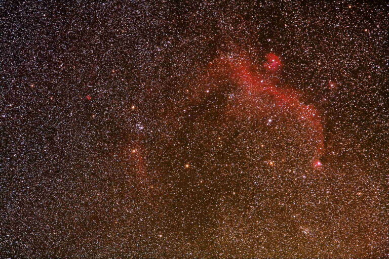 UN GABBIANO SUL NASO DEL CANE MAGGIORE