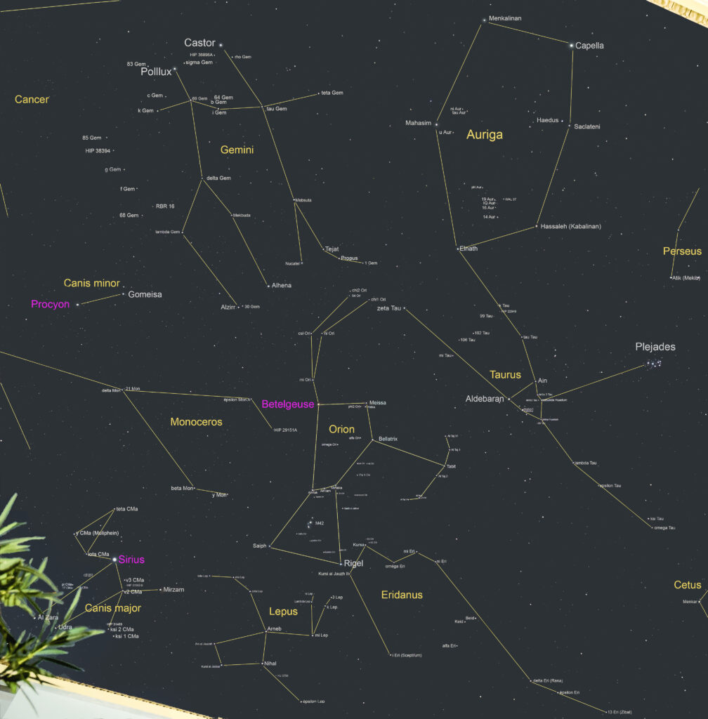 12 Costellazioni invernali dall’orizzonte allo Zenith