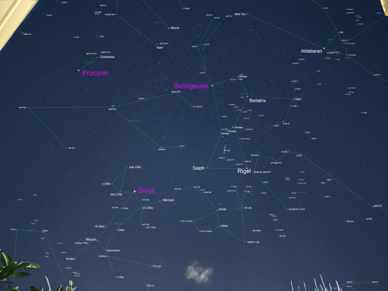 Le Costellazioni invernali del Quadrante Sud