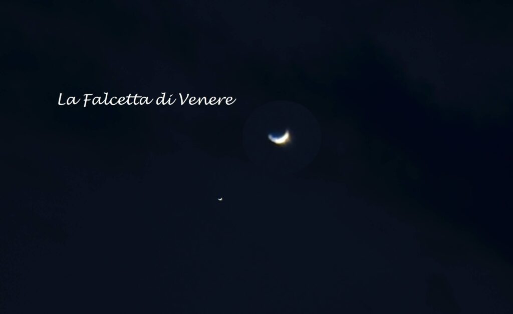 La falcetta di Venere