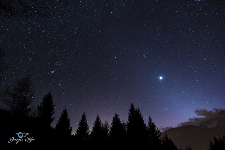 Venere e Luce zodiacale dal giardino di casa
