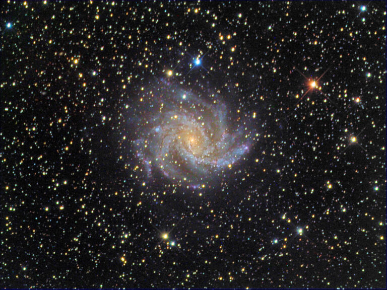 ngc6946