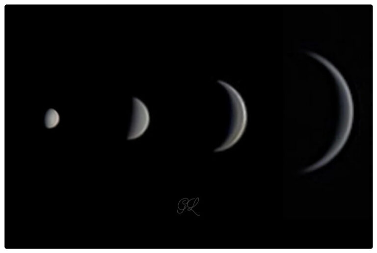 Fasi di Venere nel corso dei mesi
