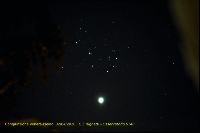 Venere e Pleiadi in congiunzione sbucano tra gli alberi