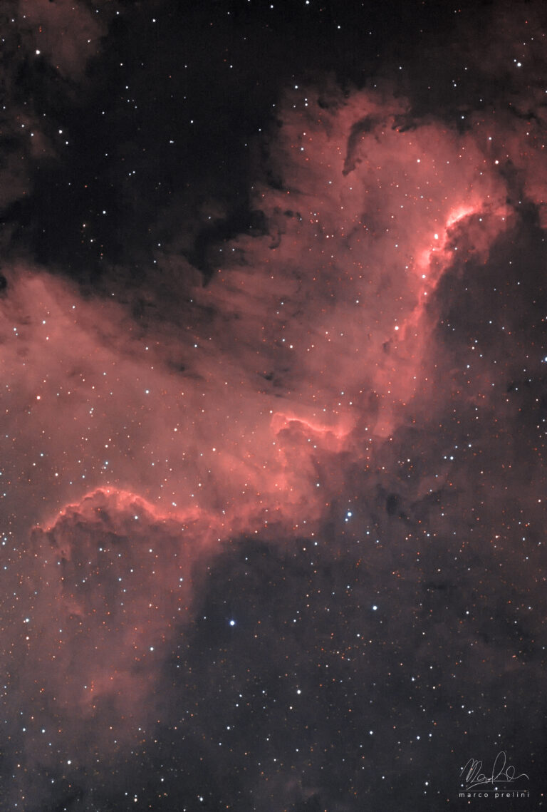 The Cygnus Wall
