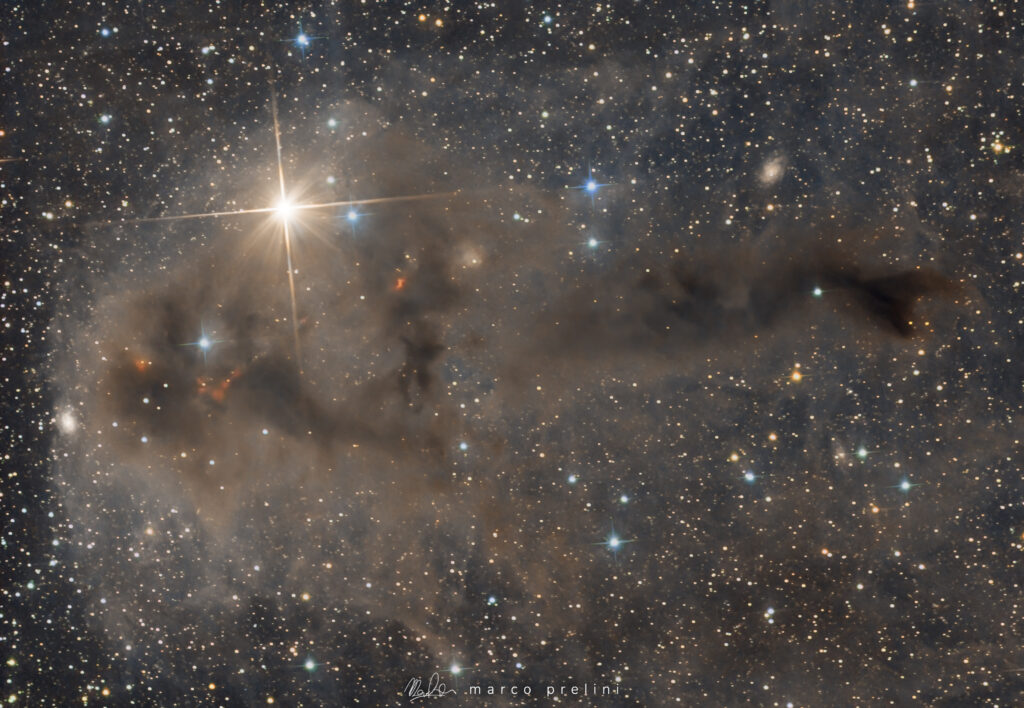 LDN 1251 Dark Nebula