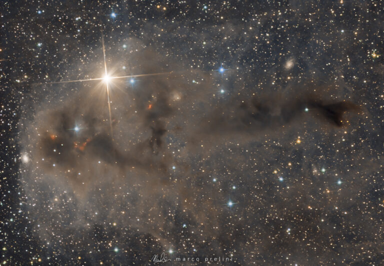 LDN 1251 Dark Nebula