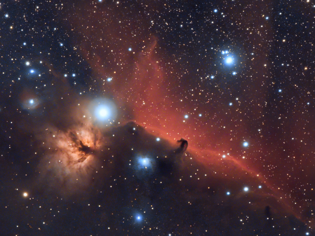 Nebulosa oscura Testa di Cavallo