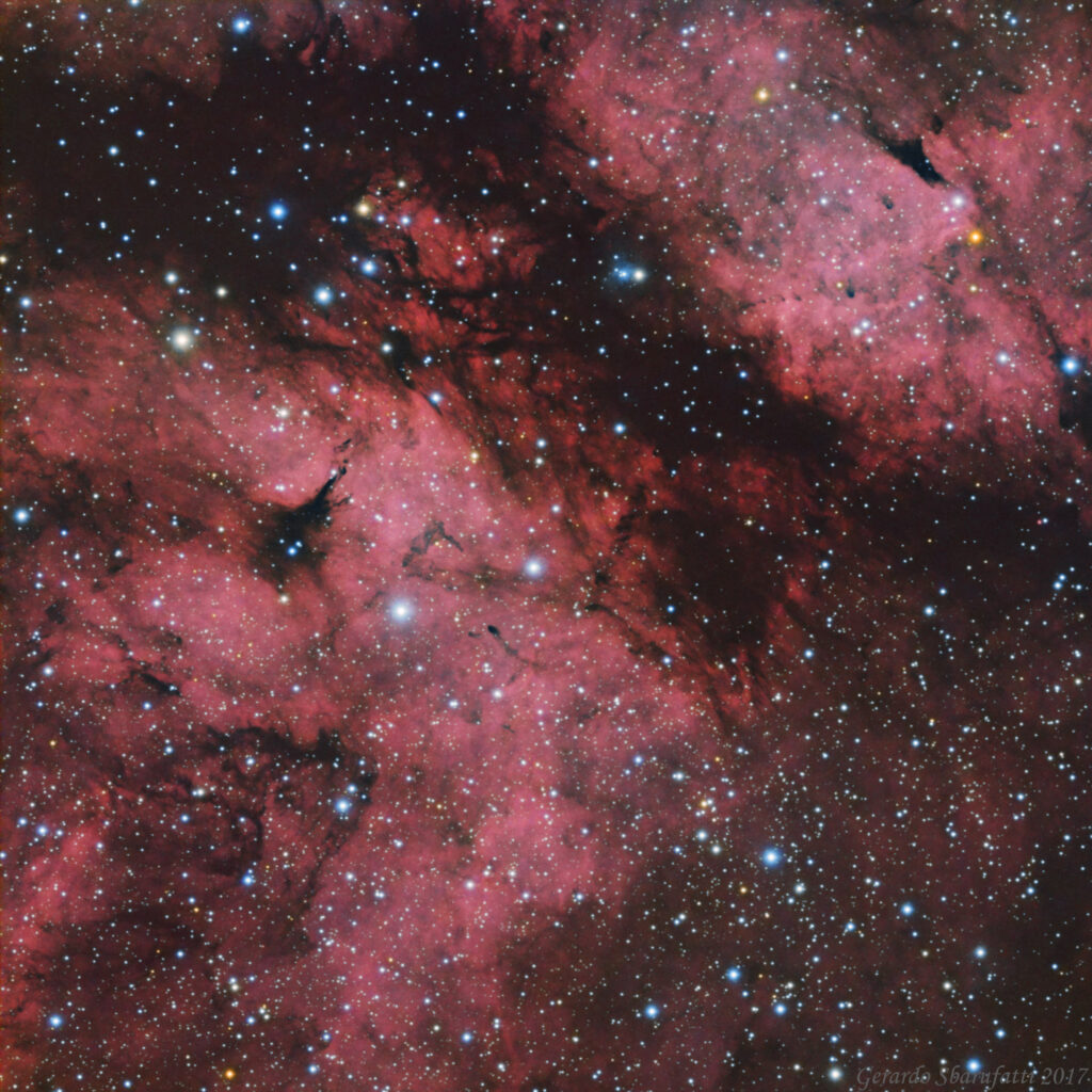 IC 1318 – Ldn 889 – Bernes 21 – DWB 70-1